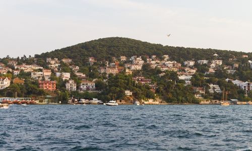 Тур по Стамбульским островам Rayim Tour